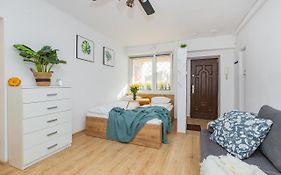 Shortstaypoland Zlota